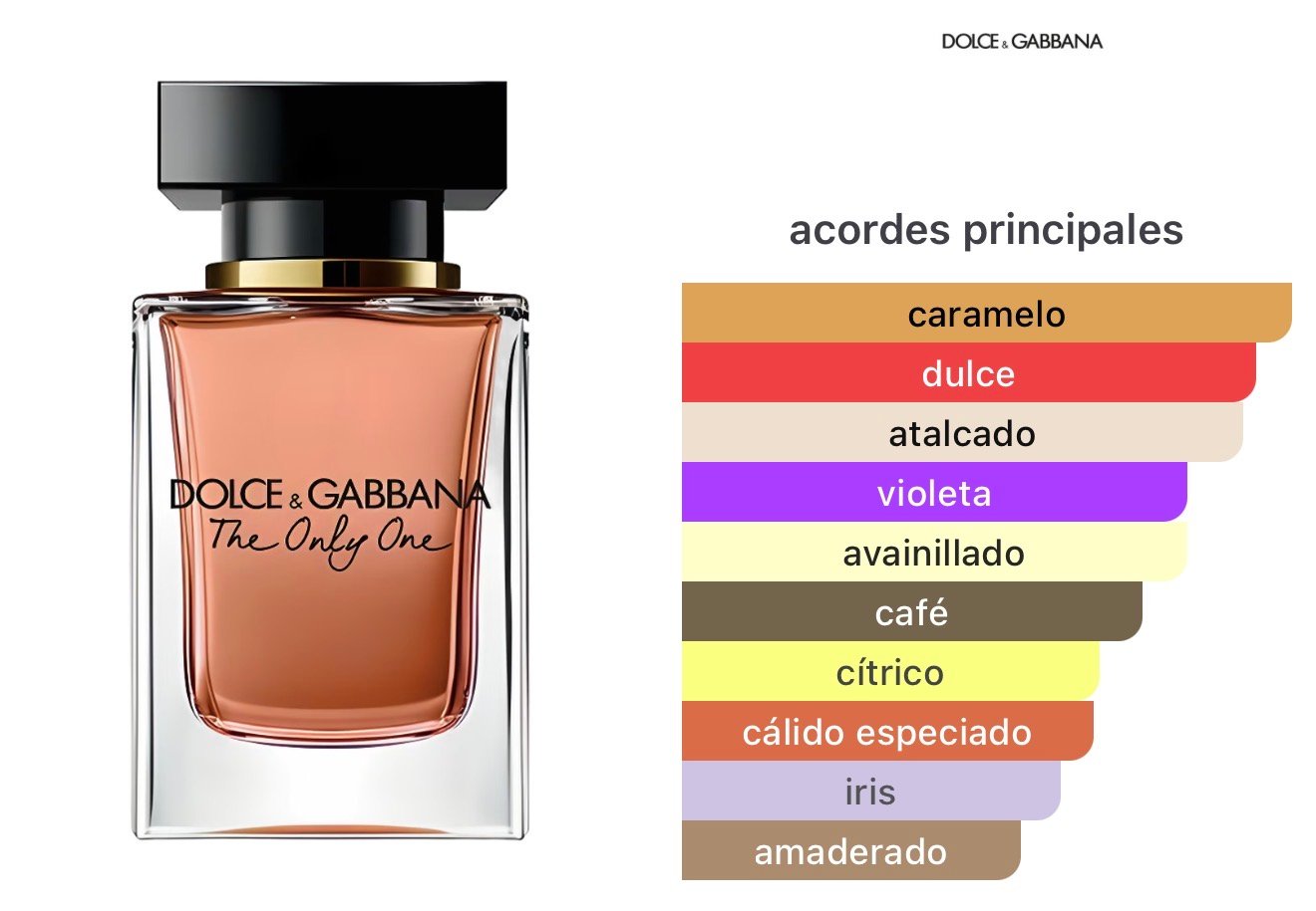Set The Only One – Dolce & Gabbana - Image 2