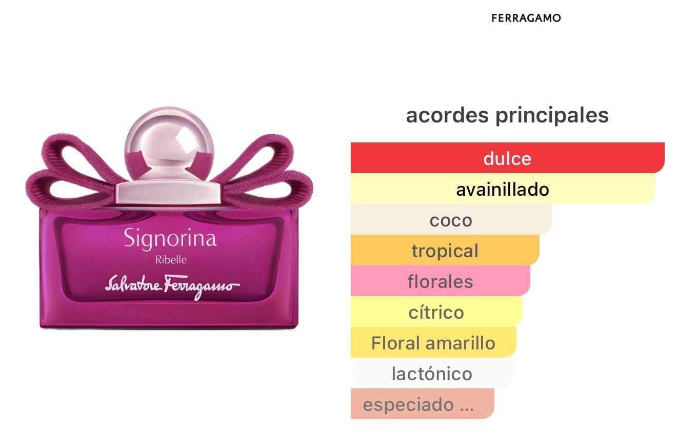 Signorina – Salvatore Ferragamo - Image 2